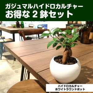 yz nCh J`[ ϗt A ϗtA  KW}̖ KW} 2Zbg K炷삪Zޖ ~j  ی^ 픫  e LOi  Mtg v