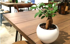 yz ϗtA CeA  nCh J`[ ϗt A KW}̖ KW} 炷삪Zޖ ~j  ی^ 픫   Mtg v[g 