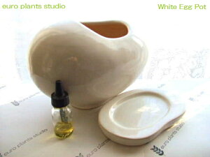 yz ʏ _ȗ^|bg EggPotGbO|bgizCgj Ap픫 & epsIWiAỹZbg ([vcX^WI)