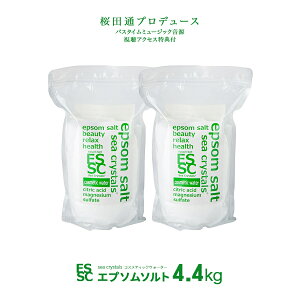 ���Y �G�v�\���\���g �R�X���e�B�b�N�E�H�[�^�[ 4.4kg(2.2kg×2��) ������ ������ ������ �}�O�l�V�E�� �N�G���_�z�� ��_�� �ێ� �V�[�N���X�^���X �o�X�\���g �H�i�Y�����O���[�h �v�ʃX�v�[