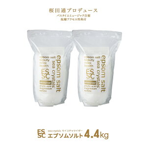 ���Y �G�v�\���\���g ���C�X�`�����C�U�[ 4.4kg (2.2kgx2��) ������ ������ ������ �}�O�l�V�E�� �t�B�`���_�z�� ��_�� ���ێ� �V�[�N���X�^���X �o�X�\���g �H�i�Y�����O���[�h �v�ʃX�v�[��