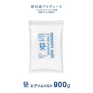 ���Y �G�v�\���\���g �I���W�i�� 900g �������T�C�Y ������ ���Y�� ������ �}�O�l�V�E�� �V�[�N���X�^���X �o�X�\���g �H�i�Y�����O���[�h �v�ʃX�v�[���t