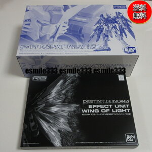 yVi/z RG 1/144 fXeBj[K_m`^jEtBjbVn+gGtFNgjbg̗ @mK_SEED DESTINY