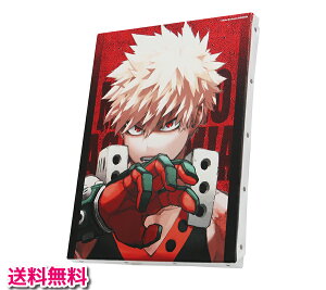 yVi/zwl̃q[[AJf~AxtJ[A[g{[h () (iTCYF220mm×273mm×20mm)/JCS