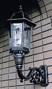 ֏Ɩ  Ɩ O 和 哔 O |[`Cg |[` i| W-1 (66010) AeB[N g Ɩ uPbg Ɩ 