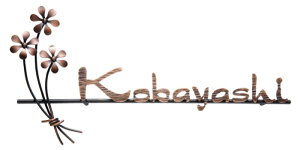 \D ^J\D IR-97 j[uXACA uYbLd mZ O\H Vzj