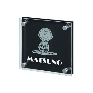 \D ˌ  KX KX\D SPSGM-A-2 SNOOPY A~ TCv[g l[v[g O\