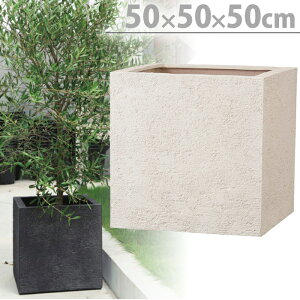 v^[ Aؔ ꌊ Kf L[u AC{[ O[ 50cm K[fjO |pi