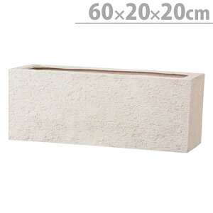 v^[ Aؔ ꌊ Kf v^[ AC{[ ubN 60cm K[fjO |pi