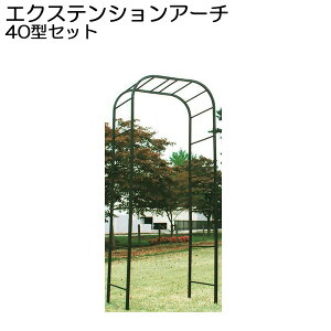 K[fA[` [YA[`  ACA GNXeVA[`40^Zbg @ύX\ g DIY o A[` K[fjO [Y KN |pi U 뉀 Ԓd  