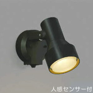 屋外 照明 スポットライト LED付 人感センサー付 タイマー付 ON-OFFタイプ 白熱球100W相当 散光 防雨型 黒色 照明器具