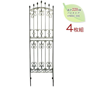 gX K[fjO tFX ACA[YtFX220 4g IFROSE-220-4P O[tFX ډB 悯   s