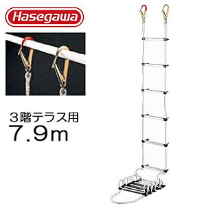 ͂ [v q 3K eXp 7.9m ue[vt hЃObY hЗpi nk΍