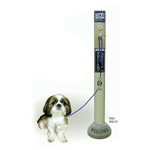 񂱃|[ AJ[{g [htbN XeX|[ ̌q~ 킢 GNXeA ybgp|[ [h|O  Ǝ{ 