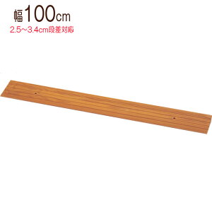 iX[v iv[g iX[v eva 100×s12×3cm Ԉ֎q X[v i