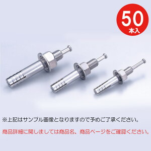 アンカーボルト アンカーセット ステンレス コンクリート アンカー ステンルーティーアンカー SC-1060 SCタイプ 50本単位 心棒打込み M10×全長60mm オールアンカー コンクリ 建築 電気 衛生 冷暖