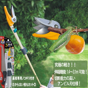 }؂oT~  |pi } |[X3i Arn NO336 pmRMnt K[fjOG |H