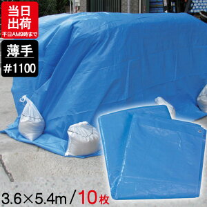 u[V[g  3.6m×5.4m #1100 10P ngt yʃ^Cv W[ V[g ~  ЊQ 䕗 h { ΍ ^ sy Ԍ C Lv eg J悯 h O AEghA 