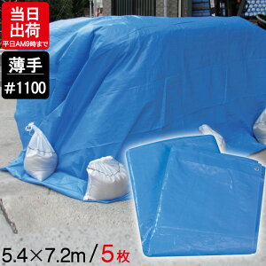 u[V[g  5.4m×7.2m #1100 5P ngt yʃ^Cv W[ V[g ~  ЊQ 䕗 h { ΍ ^ sy Ԍ C Lv eg J悯 h O AEghA
