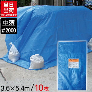u[V[g  3.6m×5.4m #2000 10P ngt BS-3654K W[ V[g ~  ЊQ 䕗 h { ΍ ^ sy Ԍ C Lv eg J悯 h O AEghA  