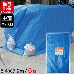u[V[g  5.4m×7.2m #2000 5P ngt BS-5472K W[ V[g ~  ЊQ 䕗 h { ΍ ^ sy Ԍ C Lv eg J悯 h O AEghA