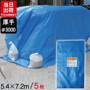 u[V[g  5.4m×7.2m #3000 5P ngt W[ V[g ~  ЊQ 䕗 h { ΍ ^ sy Ԍ C Lv eg J悯 h O AEghA   DIY