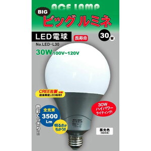  d  led d 100v rbO~l 30W p Px E26 Ɠ [NCg Ɩ Cg z AEghA h 펞 ho hH   DIY