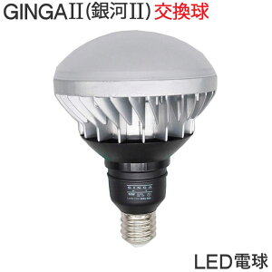 投光器 電球 交換 led 電球 100v GINGA2 50W 屋外用 超高輝度 口金E39 作業灯 ワークライト 照明 ライト 建築現場 アウトドア 防災 非常時 防塵 防滴 作業 現場 DIY