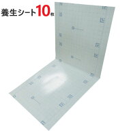 床養生シート 床 養生板 養生材 メジャーボード 2つ折りタイプ 900mm×1800mm 10枚セット ポリエチレンフ…