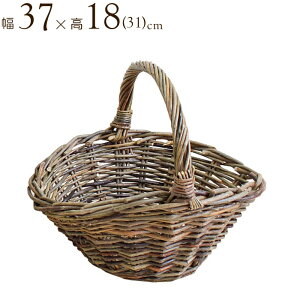 [  oXPbg [{bNX EB[ oXPbg nh  37 18(31) nh t [ Vv i`  킢  JS  [  Еt 