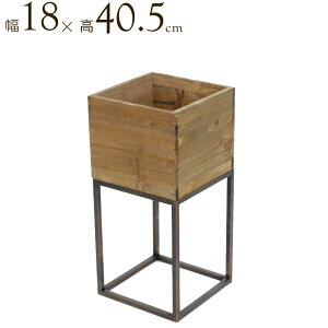 v^[ t[X^h ACA X^h Ebh {bNX MTCY 18×40.5cm  ؐ v^[X^h Jo[ v^[bN  A fBXvC W K[fjO 