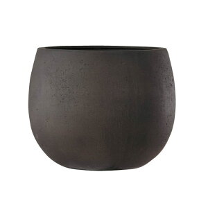 v^[ ^ Aؔ ~` FRP   ejAX [o[ AeB[N uE a420×340  K[fjO |pi  I[ig K[f Mtg 蕨