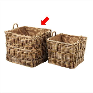 [  oXPbg  (Nu) ^ XNGAXg[WoXPbg M 62×s62×62cm LX^[t nh t [ Vv i`  킢 JS 