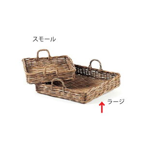 [  oXPbg  (Nu) ^ oXPbggC [W 60×s60×12cm nh t [ Vv i`  킢 JS   Еt 