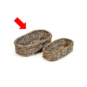 [  oXPbg  (Nu) oXPbg I[o [W 48×s26×14.5cm [ Vv i`  킢 JS   Еt  ߗ rO _C