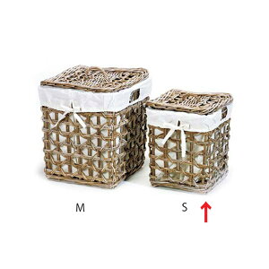 yX[p[SALEz [  oXPbg  (Nu) ^ h[ XNGAoXPbg S ӂt 37×s37×45cm(܂)53cm [ Vv i`  