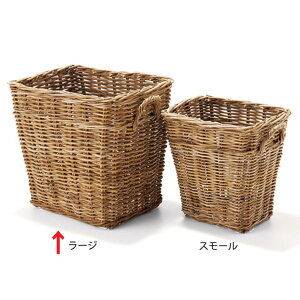 [  oXPbg  (Nu) ^ oXPbg EBYnh [W 50×s39×49cm nh t [ Vv i`  킢 JS  Еt 