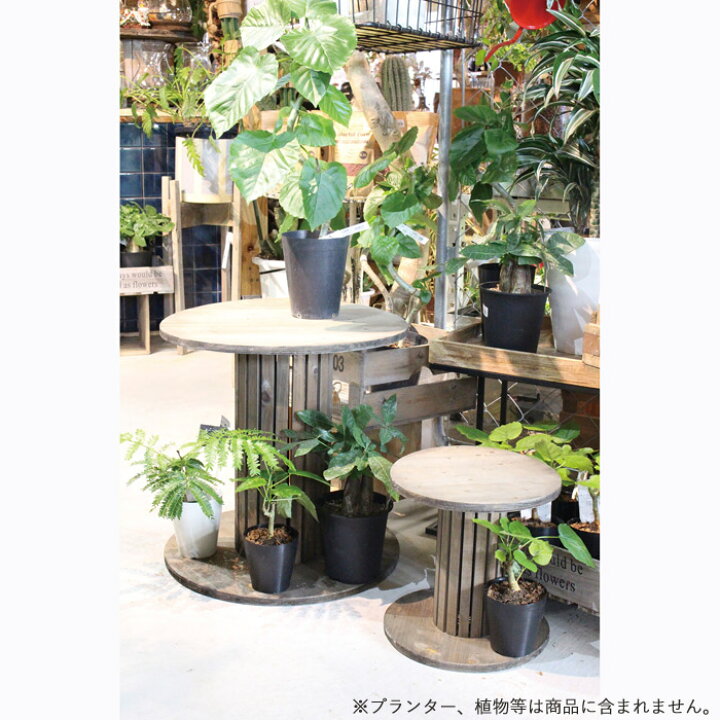楽天市場】プランタースタンド おしゃれ 木製 ケーブルドラムS 直径30 