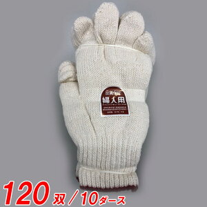 R Ǝ Y wlp #71 550g TV 120o(10)P  GW |GXe  ̑ }LR  |GXe ̑ {