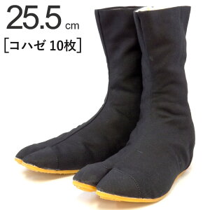   n ͉ t@C^[ 10Rn[  ubN 25.5cm 1P ^r Dt \D D fo y y S ۈ pi   v El {E H y h 