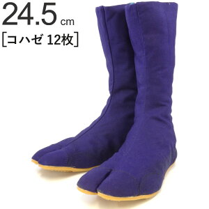   n ͉ Y 12Rn[  24.5cm 1P ^r Dt \D D fo y y S ۈ pi   v El {E H y h A | ΐE 