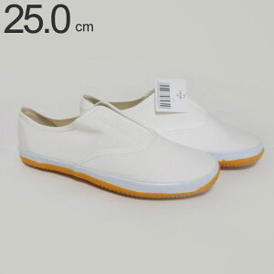 ƌC d̓Sl ST-01  zCg 25.0cm 1P  S S ۈ pi   d v El {E H H y h