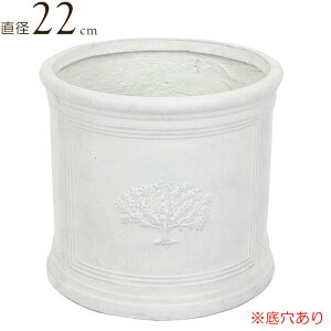 v^[ Aؔ  A ی^ ~ Eh|bgtHXg6|bg white  a22.0×20.5  ꌊ K[fjO y |pi     킢  Mtg 蕨