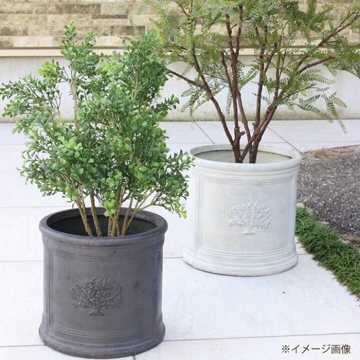 楽天市場 プランター 大型 植木鉢 おしゃれ 鉢植え 丸型 円柱 ラウンドポットフォレスト8号ポット White 白 ホワイト 直径32 5 高さ30 5 鉢 底穴あり ガーデニング 軽量 園芸用品 庭 花 庭 木 かわいい 鉢 ギフト 贈り物 Estoah Home エストアホーム 楽天市場 プランター 大型 植木鉢 おしゃれ 鉢植え 丸型 円柱 ラウンドポットフォレスト8号ポット White 白 ホワイト 直径32 5 高さ30 5 鉢 底穴あり ガーデニング 軽量 園芸用品 庭 花 庭 木 かわいい 鉢 ギフト 贈り物 Estoah Home エストアホーム