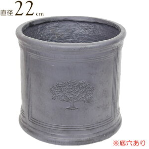 v^[ Aؔ  A ~ ی^ Eh|bgtHXg 6|bg British Gray a22.0×20.5  ꌊ K[fjO y |pi     킢  Mtg 