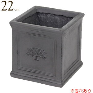v^[ Aؔ  A lp XNGA|bgtHXg 6|bg British Gray O[ 22×s22×22  ꌊ  K[fjO y 񂹐A ||pi     