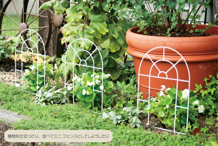 楽天市場 フェンス 屋外 花壇 アイアン トレリス 柵 おしゃれ 17ミニトレリス シェル ブラック 黒 幅25 奥行4 高さ40cm 埋込部8cm 4台1セット単位 ガーデニングフェンス ラティス ガーデニングオブジェ バラ モッコウバラ 園芸フェンス 花壇フェンス 庭造り ガーデニング