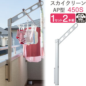  O x_  Ǌ| Ǝ   XJCN[ Ǘp |[㉺^Cv [^ AP^-45cm Vo[ 1Zbg(2{g) 30kg