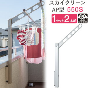  O x_  Ǌ| Ǝ   XJCN[ Ǘp |[㉺^Cv [^ AP^-55cm Vo[ 1Zbg(2{g) 30kg