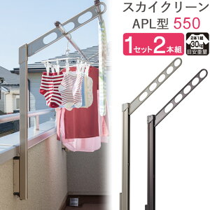  O x_  Ǌ| Ǝ   XJCN[ Ǘp |[㉺^Cv [^ APL^-55cm XeJ[ /_[NuY 1Zbg(2{g) 30kg